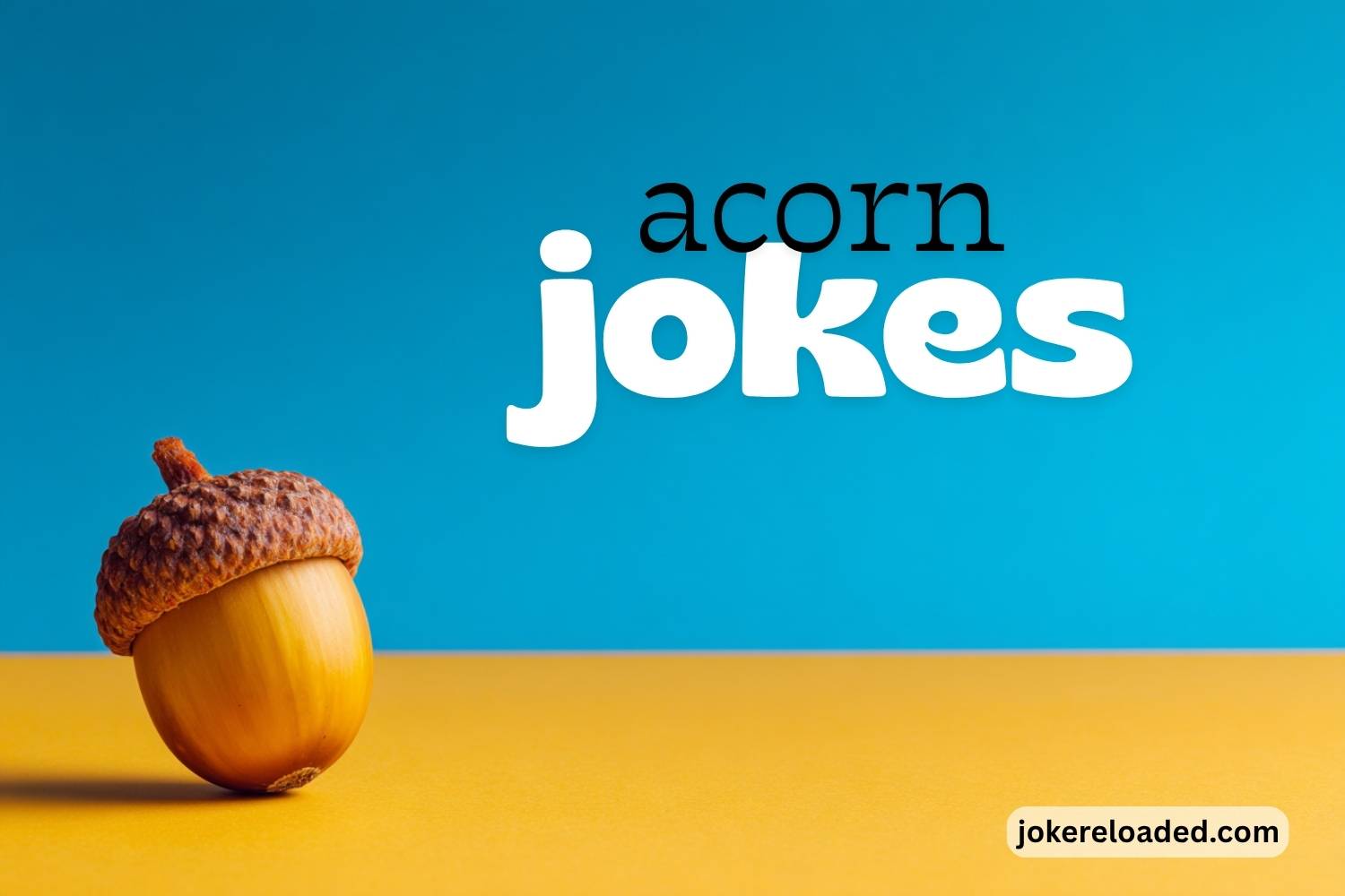267+ Acorn Jokes, Puns, and One-Liners That Fall Right on Time - Joke ...