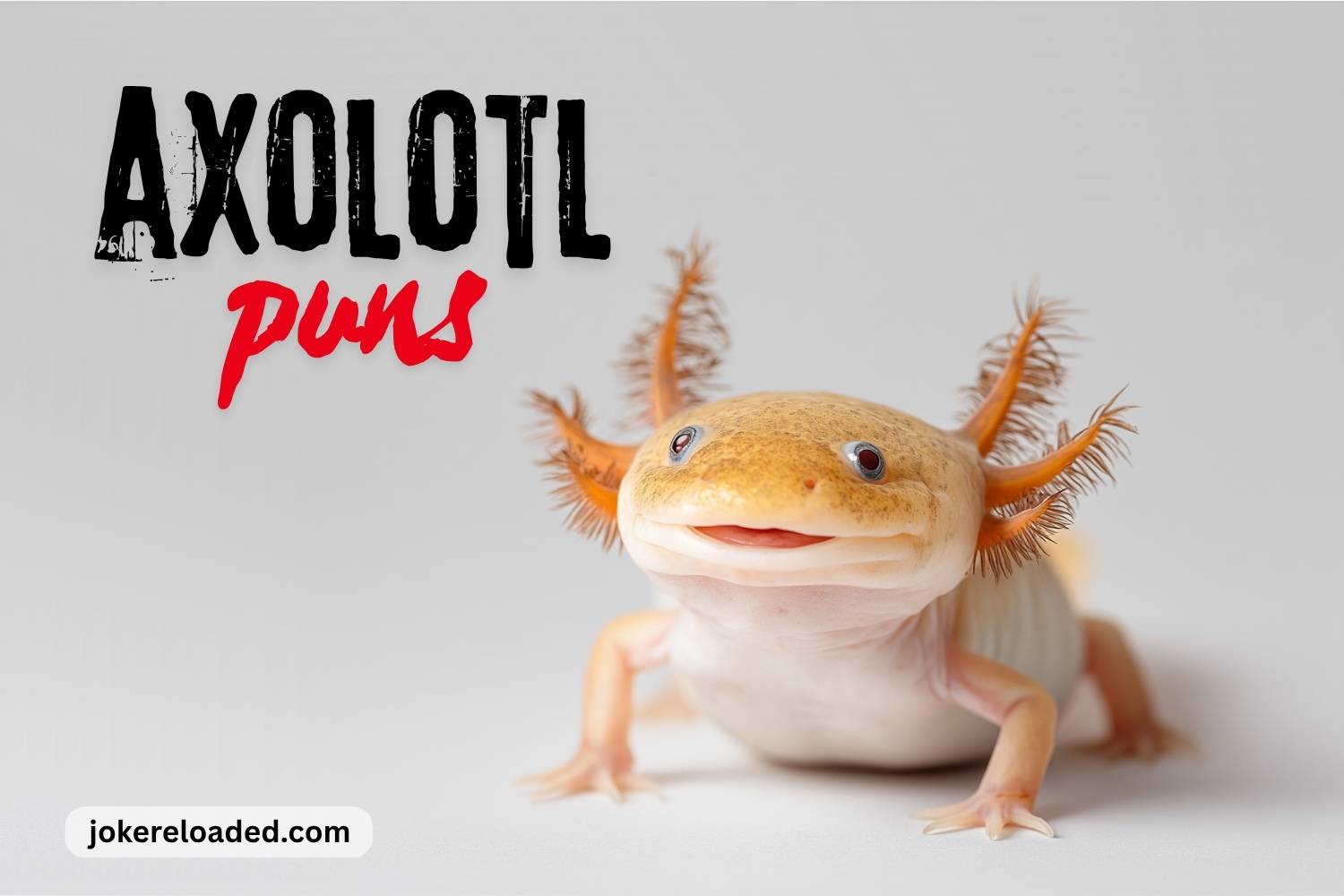 axolotl puns