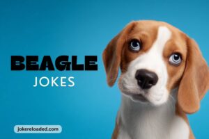 beagle jokes