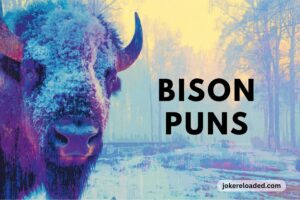 bison puns