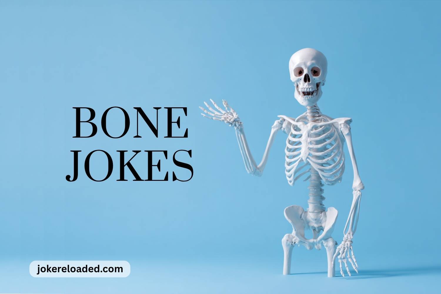 bone jokes