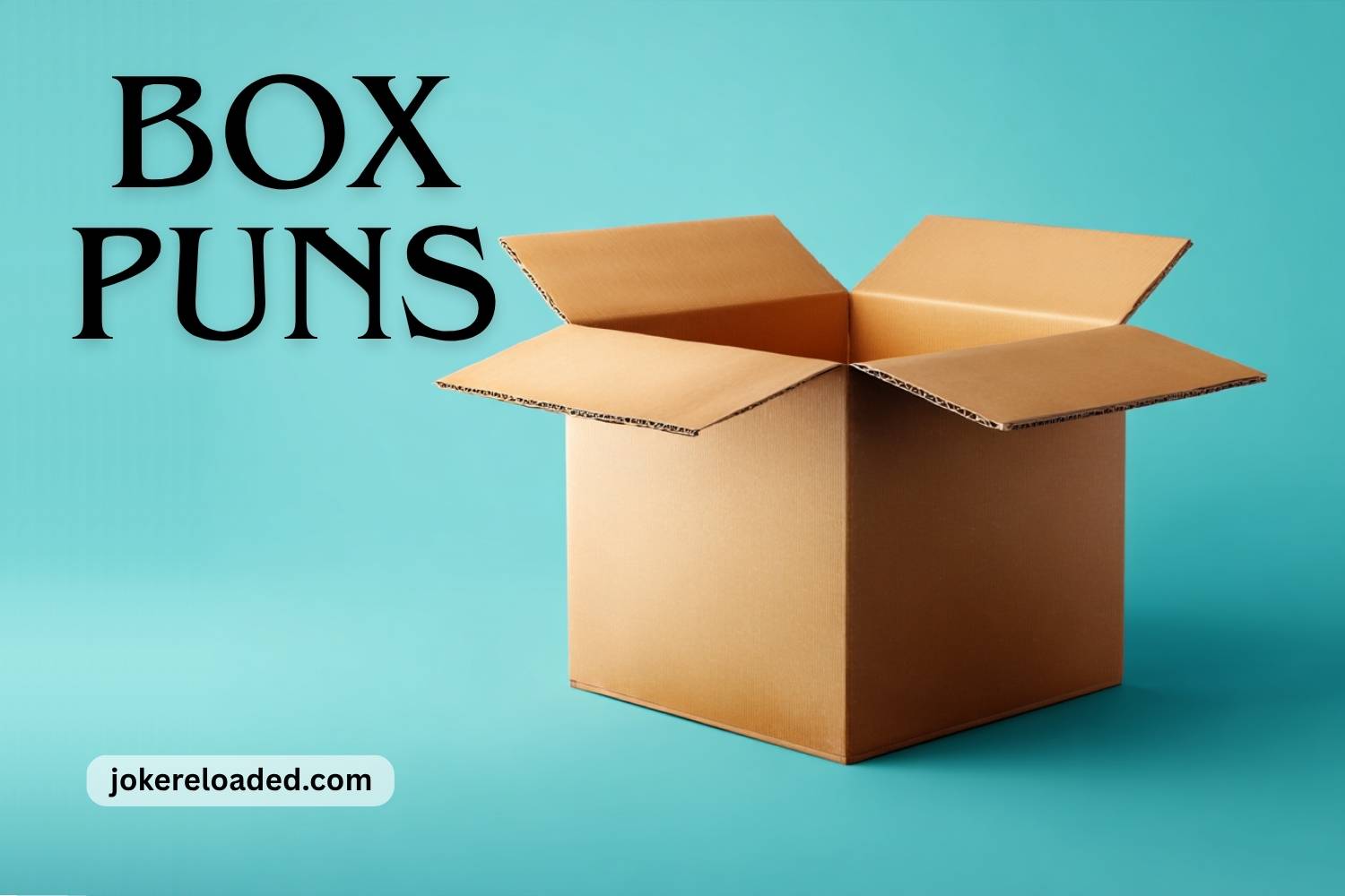 box puns