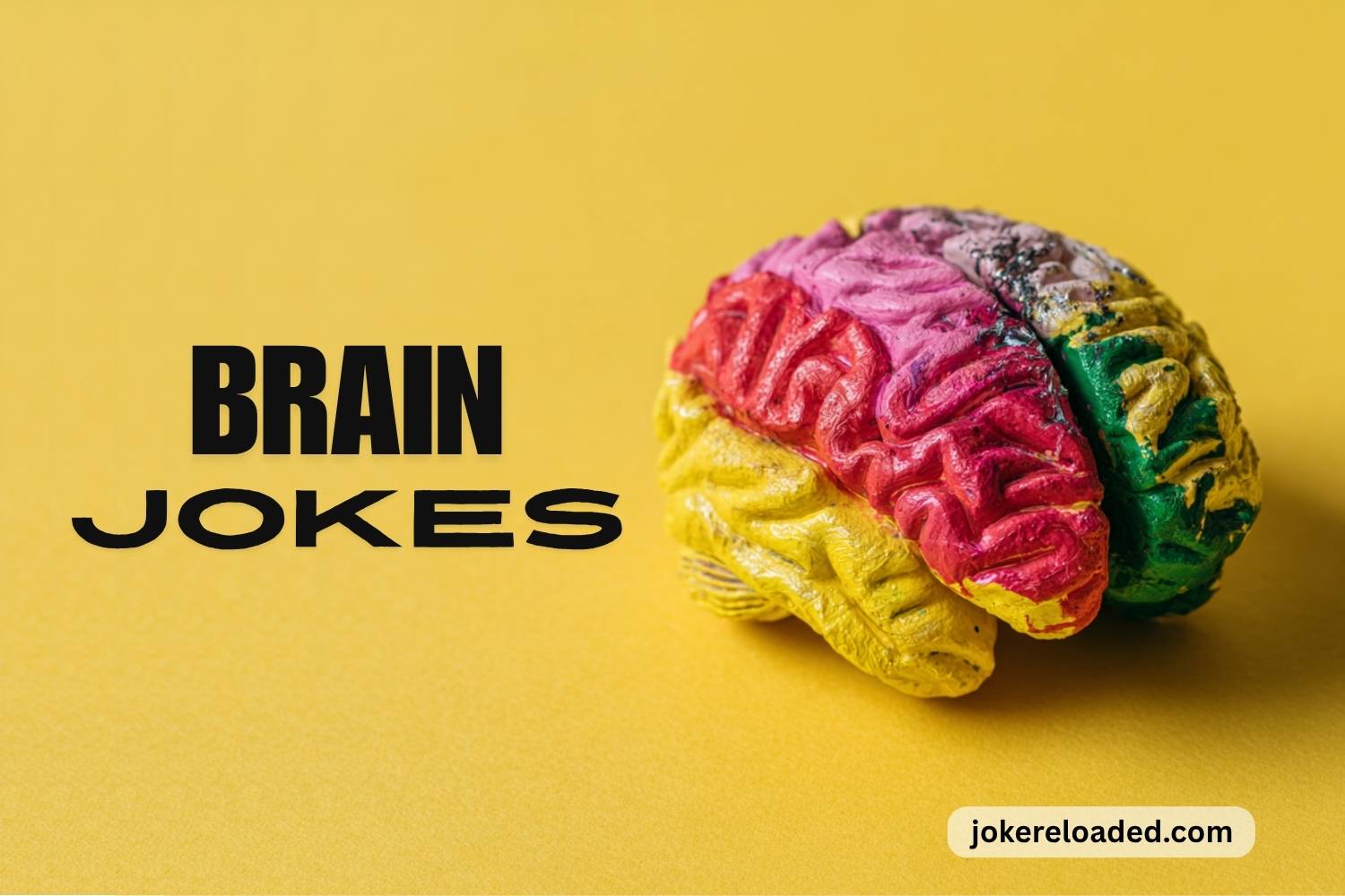 brain jokes